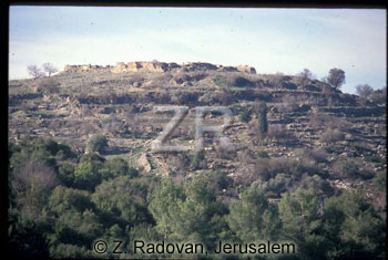 1255-5 Judean hills