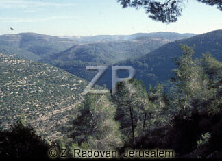 1255 Jerusalem mountains