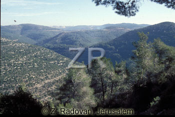 1255 Jerusalem mountains