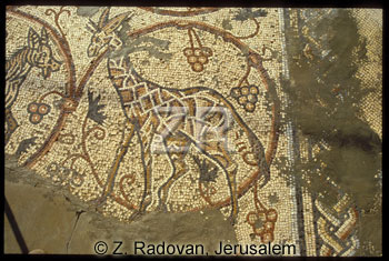 1257-7 Gaza synagogue