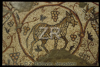 1257-9 Gaza synagogue