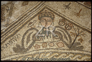 1263-1 BethAlpha mozaic