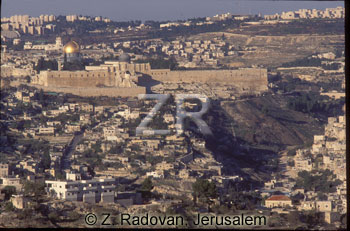 1354-1 City of David