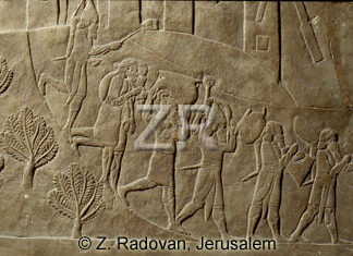 1445 Assyrian army