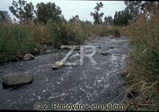 1538-19 River Jordan