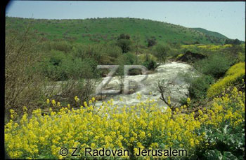 1538-6 River Jordan