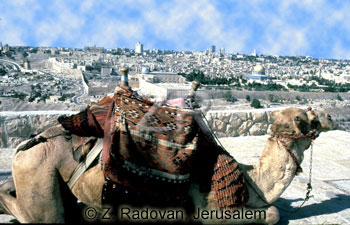 1593-1 Jerusalem