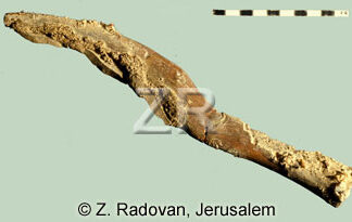 1646 Neolithic sickle