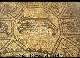 1672-13 BethShean mosaic