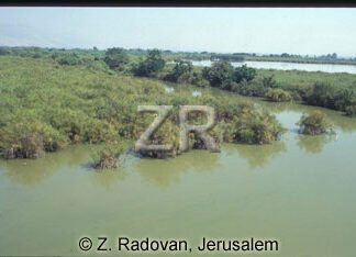 1693-2 Hulah swamps