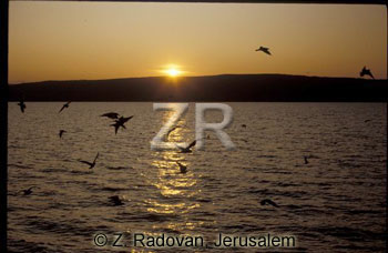1722-4 Sea of Galilee