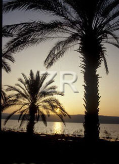 1722-9 Sea of Galilee