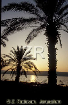 1722-9 Sea of Galilee