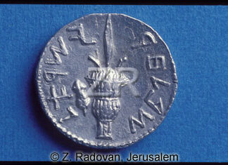 174-6 Selah coins