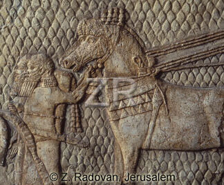 1776 Lachish