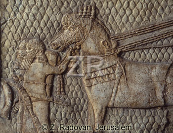 1776 Lachish