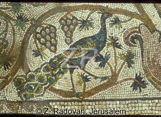 1782-5 BethShean mosaic
