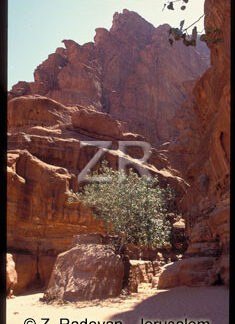 1812-10 Wadi Ram