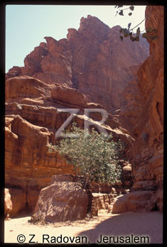 1812-10 Wadi Ram