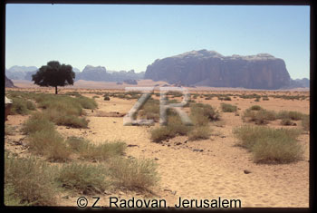 1812-3 Wadi Ram