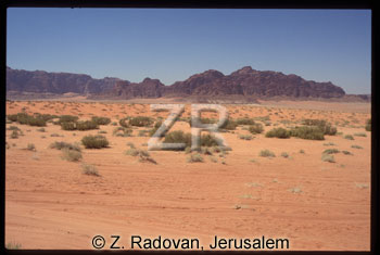 1812-5 Wadi Ram
