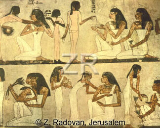1887 Egyptian ladies