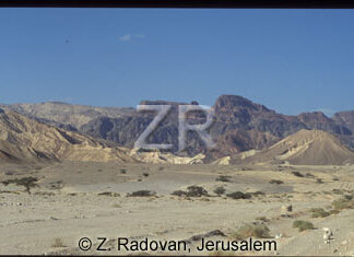 1895-3 Sinai wilderness