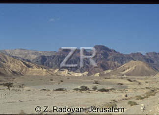1895-6 Sinai wilderness