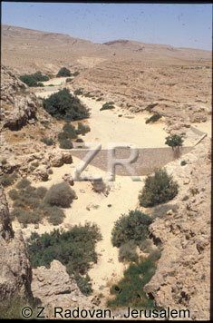 1903-2 Wadi Mamshit