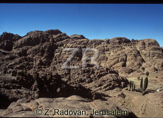 1948-1 Mt.Sinai area