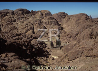 1948-3 Mt.Sinai area