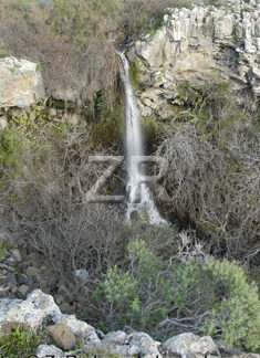 1954-4 Yehudiya waterfall