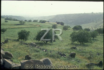 1957-1 Golan
