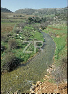 1960-1 Upper Galilee Dishon
