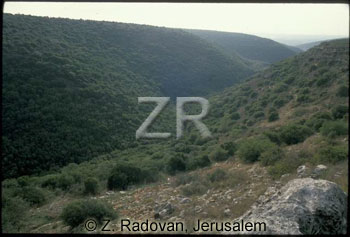 1967-1 Wadi Yehiam