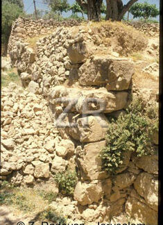 1980-2 Tel Rumeidah