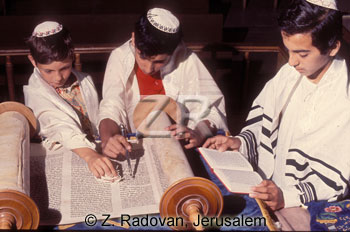 2073 Reading the Torah