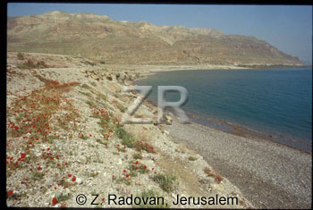 2093-16 Dead Sea