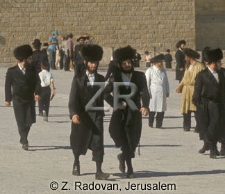 2120 Hassidic Jews