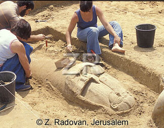 218-1 Excavating Anthropoid