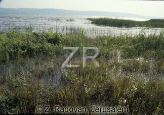 2246-10 Sea of Galilee
