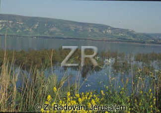 2246-12 Sea of Galilee