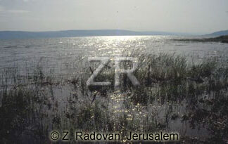 2246-14 Sea of Galilee