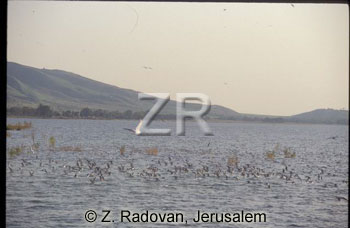 2246-3 Sea of Galilee