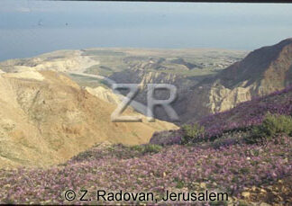 2356-8 Wadi Daraga