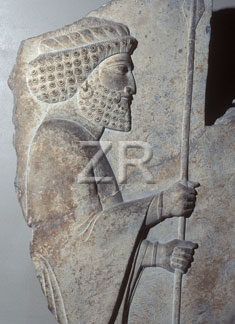 2398-2 King Darius'-guard