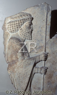 2398-2 King Darius'-guard