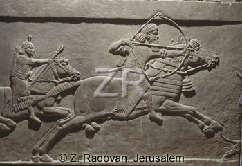 2406 Assyrian cavalry