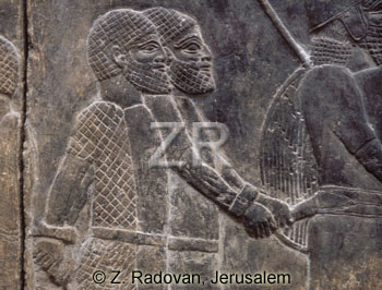 2425-2 Assyrian prisoners