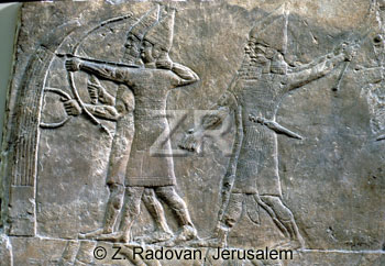 2435-4 Assyrian archers